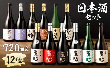 溝上酒造 日本酒 セット (4)（720ml×12本）計8640ml 12種 詰合せ 酒 福岡県