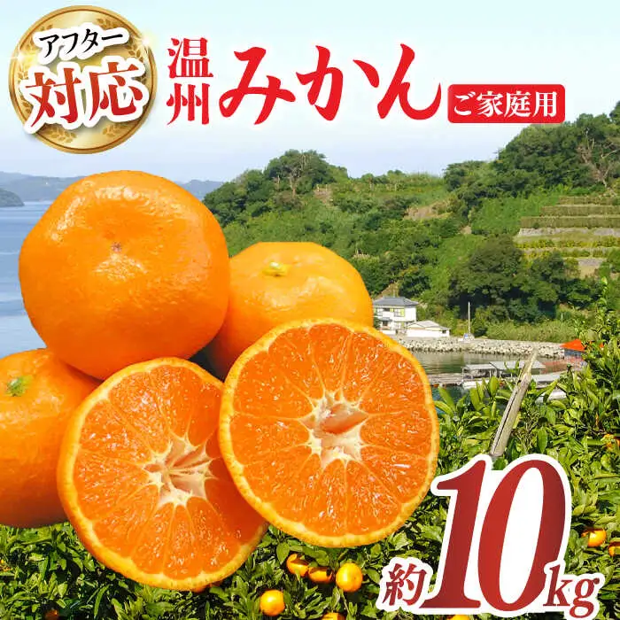 【温州みかん】ご家庭用温州みかん約10kg（100-120個）[EAH003]