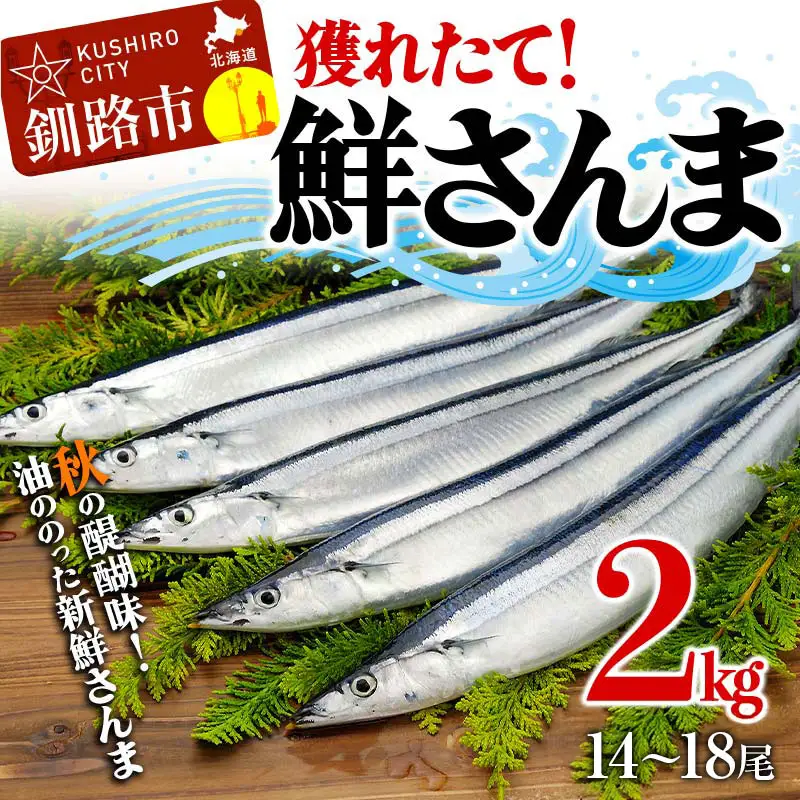 獲れたて鮮さんま 2kg（14～18尾） 秋刀魚 サンマ