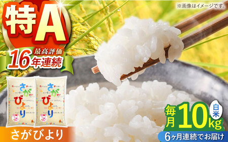 【全6回定期便】さがびより 白米 10kg（5kg×2袋）【株式会社 JA食糧さが】 [HCM003]