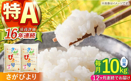 【全12回定期便】さがびより 白米 10kg（5kg×2袋）【株式会社 JA食糧さが】 [HCM004]