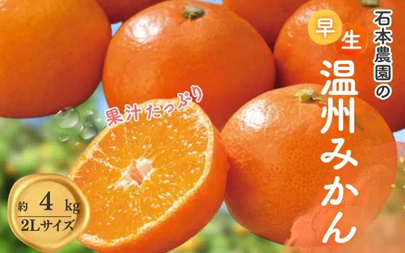 みかん 石本農園の早生温州みかん 約4kg 2Lサイズ【mis005B】