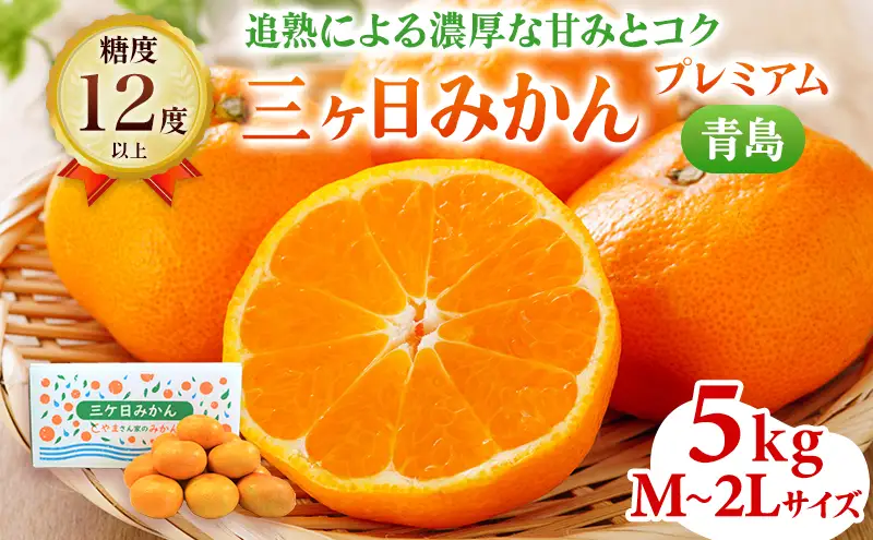 みかん 三ヶ日 プレミアム 青島 5kg 蜜柑 フルーツ 浜松 みかん