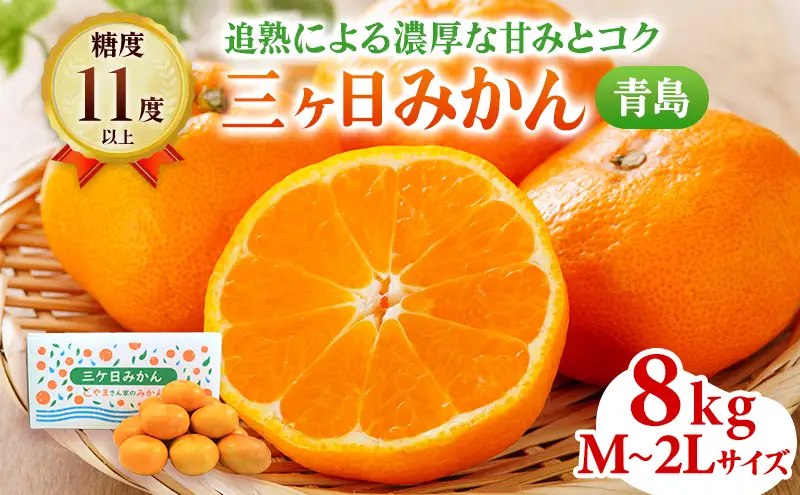みかん 三ヶ日 青島 8kg M〜2L 蜜柑 果物 フルーツ みかん