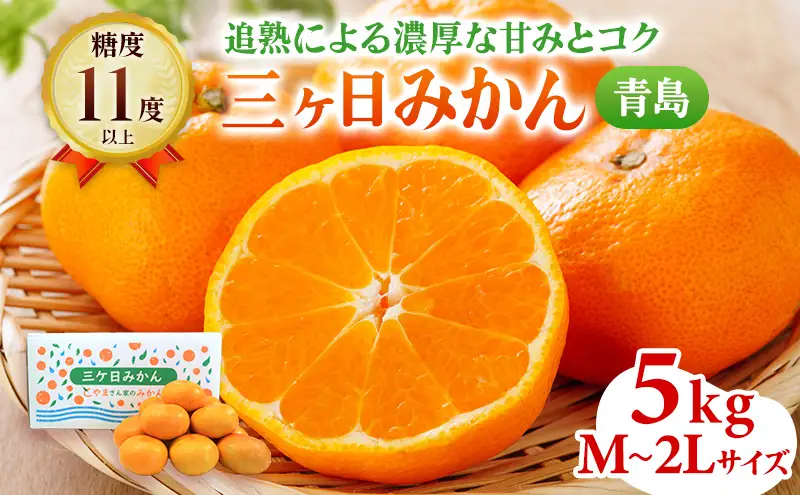 みかん 三ヶ日 5kg 青島 M〜2L 果物 フルーツ みかん