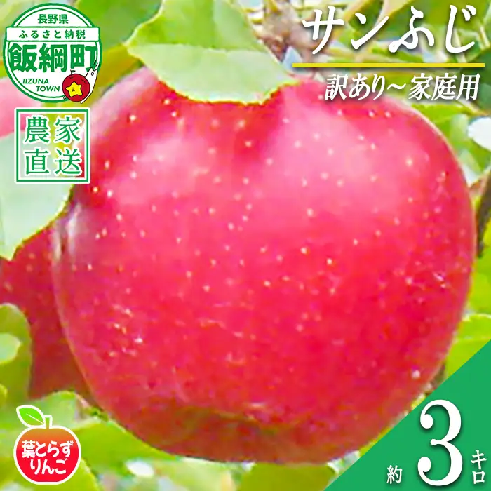 りんご 葉とらず サンふじ 訳あり 3kg