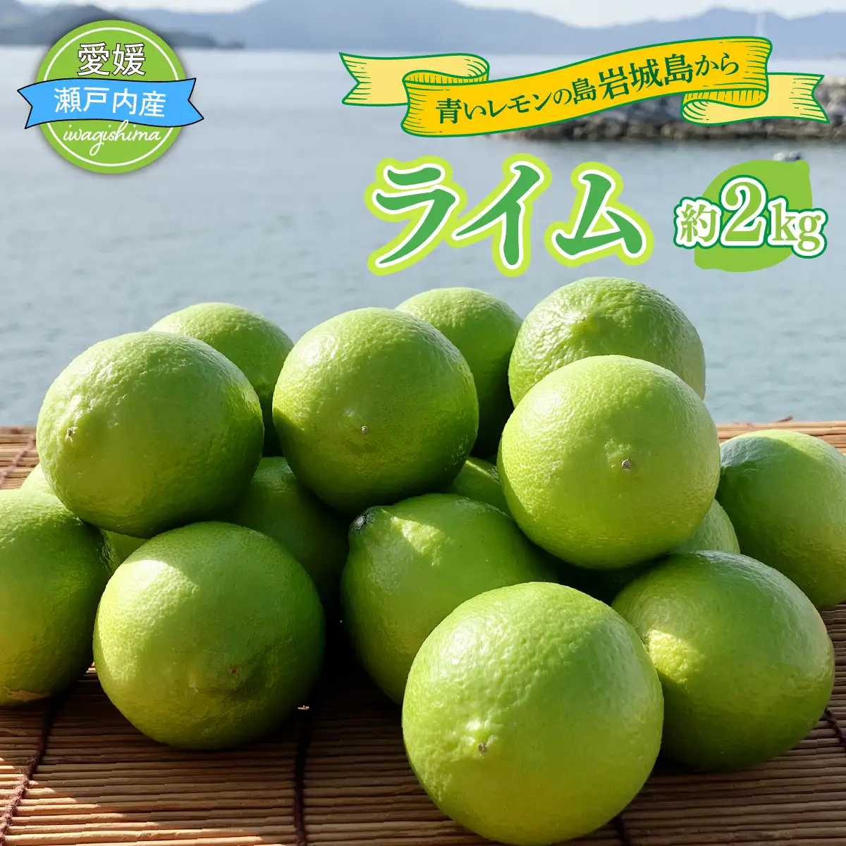 青いレモンの島 ライム 約2kg ライム