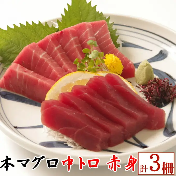 天然本マグロ 中トロ 赤身 マグロセット eb015 FN-Limited-PR
