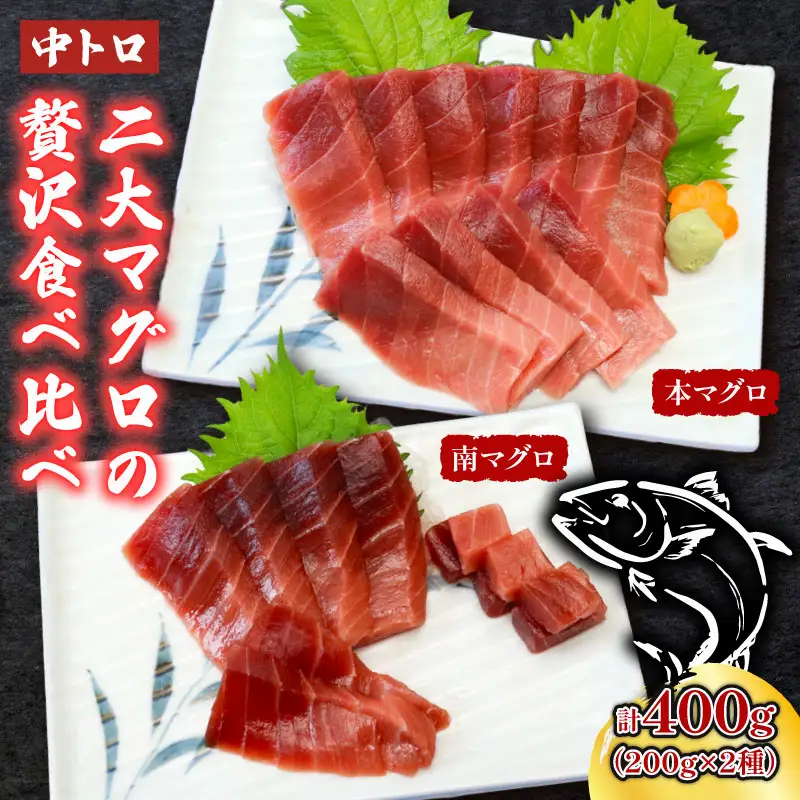 天然本マグロ　天然南マグロ　中トロ各１柵　（計４００ｇ）　食べ比べまぐろ 鮪 海鮮 冷凍 さしみ 刺身 父の日 高知 室戸 マグロ