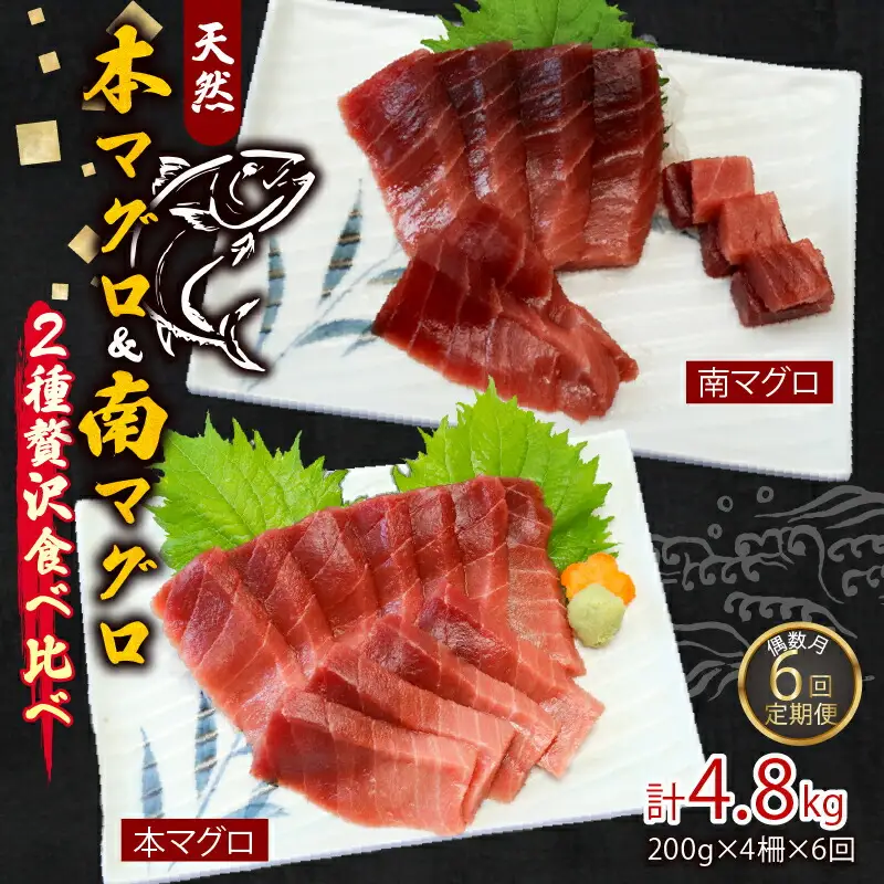 【定期便/計6回】本マグロ・南マグロ中トロ4柵【偶数月】 eb004