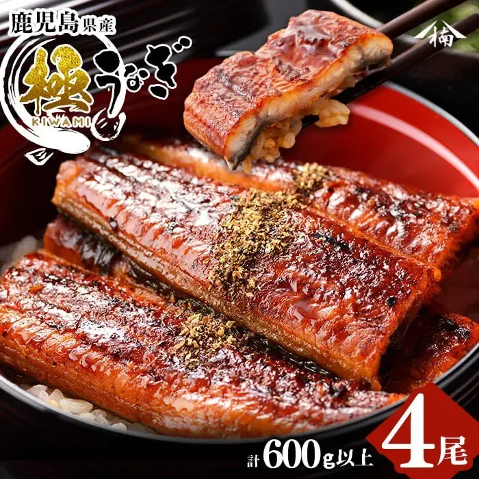 楠田の極 うなぎ 蒲焼き4尾 (計600g以上) b6-011