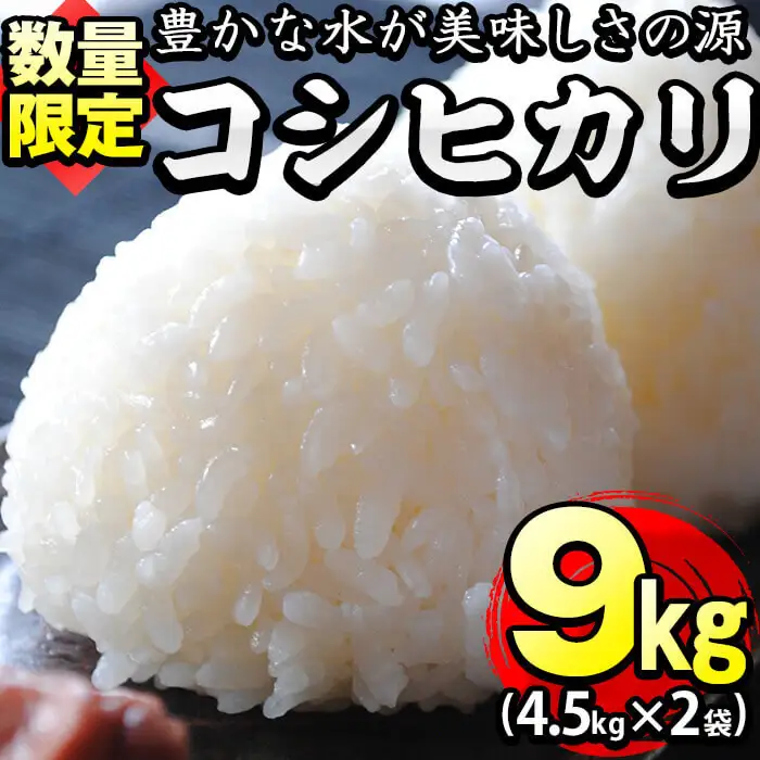 【米の匠】川崎さん自慢のコシヒカリ 計9kg(4.5kg×2袋) b2-034-R6-3w