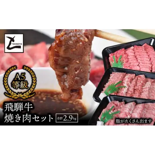 A5飛騨牛焼き肉セット（合計2.9kg）