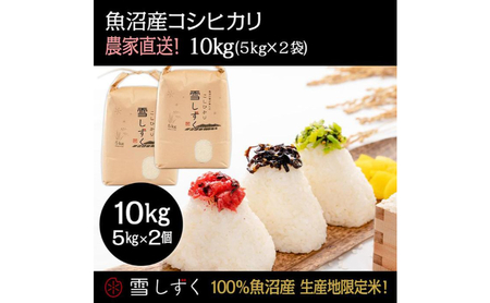 令和7年産！魚沼産コシヒカリ【農家直送!】 5kg×2袋 お米 米 コメ 