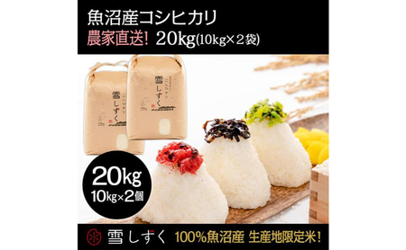 令和7年産！魚沼産コシヒカリ【農家直送!】 10kg×2袋 お米 米 コメ 