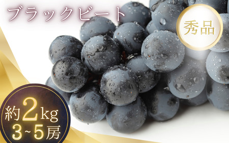 2kg箱入り（3~5房）種無し ブラックビート（ブドウ・ぶどう）【2026年7月下旬～順次発送（限定数量）】【G217-art019A】