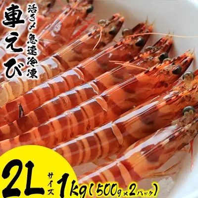 車海老 活き〆急速冷凍車えび【2L】1kg