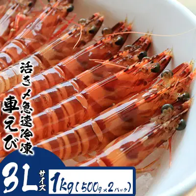 車海老 活き〆急速冷凍車えび【3L】1kg