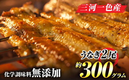 手焼き三河一色産1年うなぎ蒲焼2尾(約300g)・A140-17