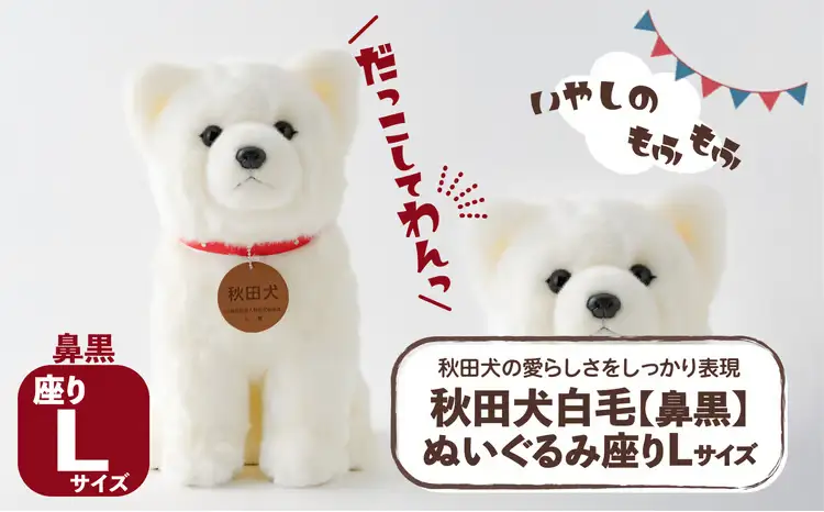 165P7304 秋田犬白毛(鼻黒)ぬいぐるみ　座りＬサイズ【秋田犬保存会】