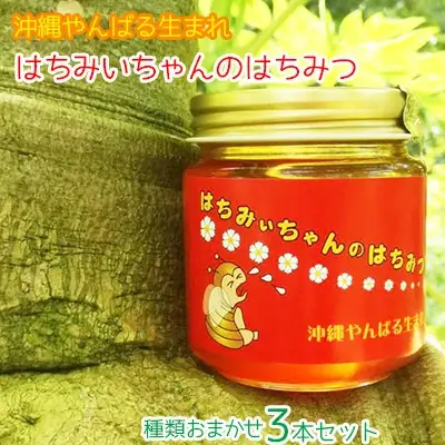 はちみいちゃんのはちみつ【3本セット】蜜蜂ファーム・ときわ