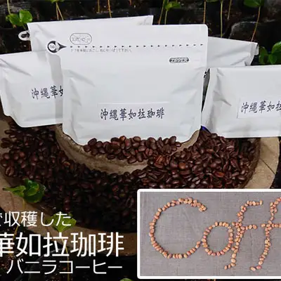 【100%名護市産】コーヒー（粉）100g×2袋
