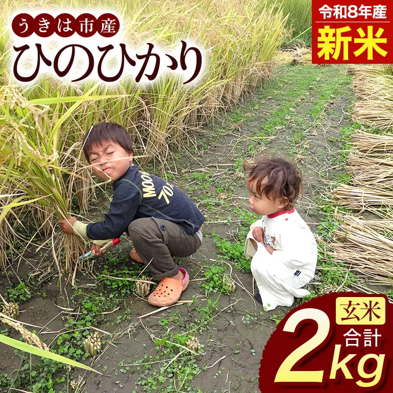 令和8年 新米 玄米 ひのひかり 2kg ぶんぶんファーム