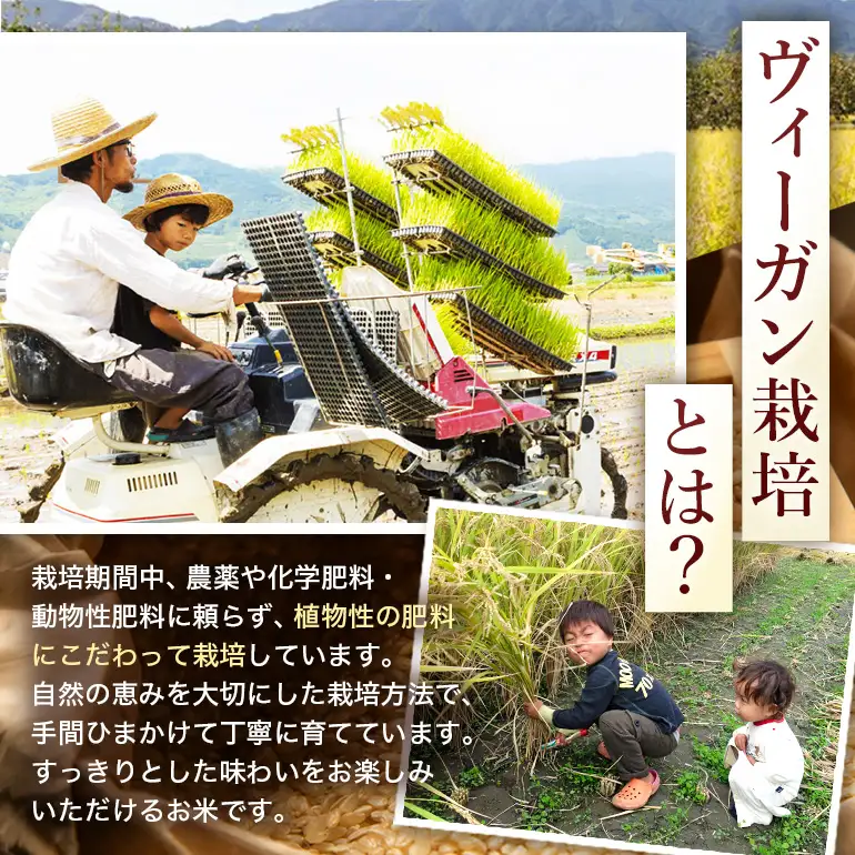 ぶんぶんファーム 自然栽培 ひのひかり 玄米 30kg
