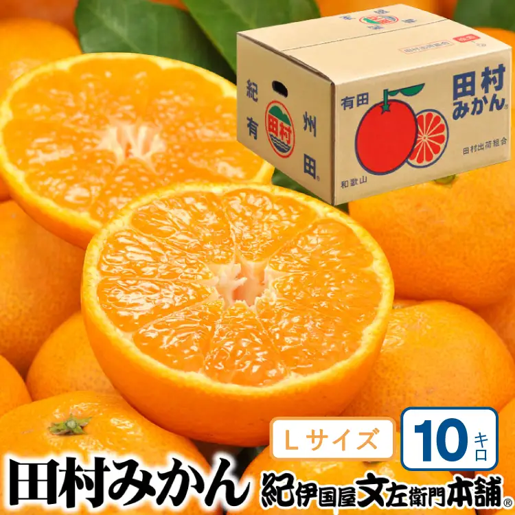 田村みかん 特選ギフト品 10kg【Lサイズ】赤秀/紀州和歌山有田郡湯浅町田村地区産 ◆2026年11月下旬～2027年1月中旬頃に順次発送予定(お届け日指定不可)　紀伊国屋文左衛門本舗【kstb302C】