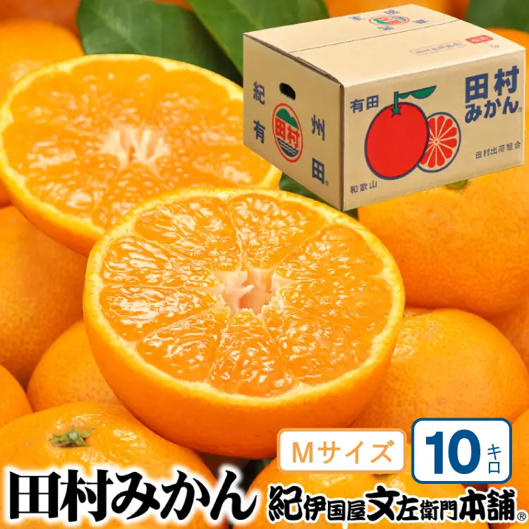 田村みかん 特選ギフト品 10kg【Mサイズ】赤秀/紀州和歌山有田郡湯浅町田村地区産 ◆2026年11月下旬～2027年1月中旬頃に順次発送予定(お届け日指定不可)　紀伊国屋文左衛門本舗【kstb303C】