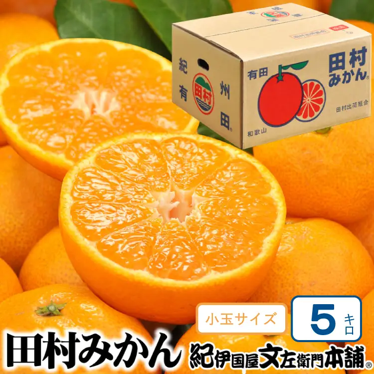 田村みかん 5kg 秀品【小玉サイズ】/紀州和歌山有田郡湯浅町田村地区産 ◆2026年11月下旬～2027年1月中旬頃に順次発送予定(お届け日指定不可)　紀伊国屋文左衛門本舗【kstb306B】