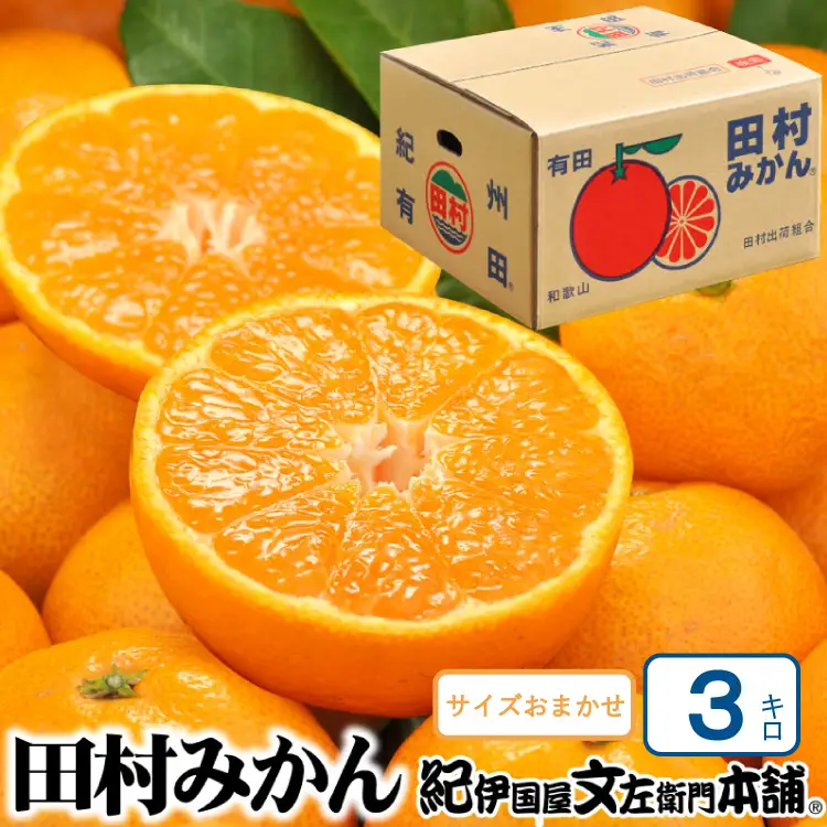 田村みかん 特選ギフト品 3kg サイズおまかせ 赤秀/紀州和歌山有田郡湯浅町田村地区産 ◆2026年11月下旬～2027年1月中旬頃に順次発送予定(お届け日指定不可)　紀伊国屋文左衛門本舗【kstb308B】