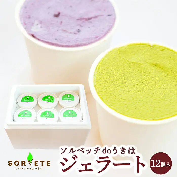 【果樹園が作る】素材の味を楽しめる 旬のジェラート 120ml×12個セット【ソルベッチdoうきは】着色料不使用 ノンホモ牛乳使用 ジェラート アイス 旬 スイーツ 詰め合わせ セット シャーベット ミルク フルーツ デザート