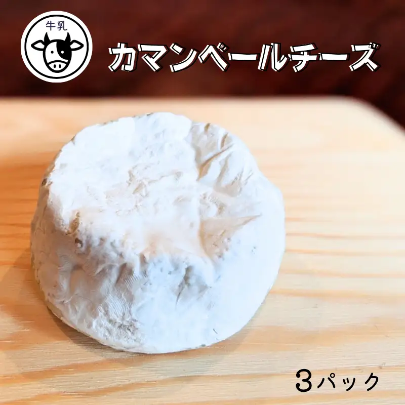 【11月～3月限定・牛乳使用】カマンベールチーズ 約100g×3パック