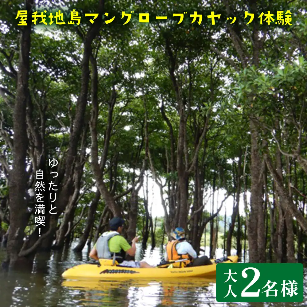 ゆったりと自然を満喫！屋我地島マングローブカヤック体験（大人2名様） 沖縄八景 屋我地島 無人島 海 ガイド付 沖縄本島最古 オヒルギ ツアー 沖縄県 名護市 やんばる 北部 南国気分 癒し ゆったり