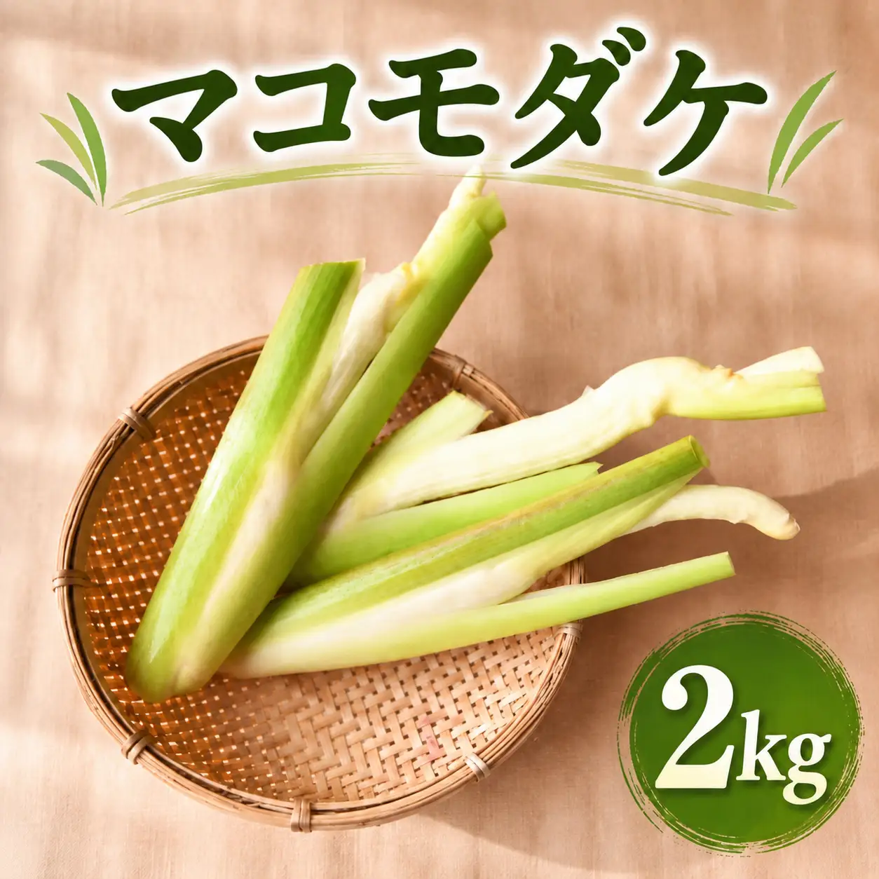 【先行予約・期間限定】マコモダケ ２kg ２０本程度 まこも マコモ 真菰筍 まこもだけ まこもたけ 新鮮 旬 野菜 送料無料 nc003