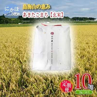 あきたこまち 秋田県産 鳥海山の恵み ひの米 玄米 あきたこまち【計10kg 2kg×5回】【定期便】