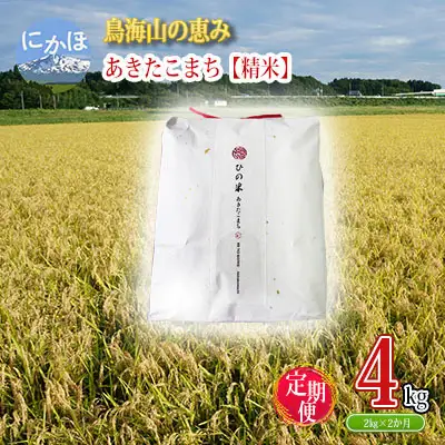 あきたこまち ひの米 精米 秋田県産 あきたこまち【2kg×2回 計4kg】【定期便】