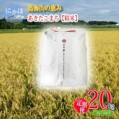 あきたこまち ひの米 精米 秋田県産 あきたこまち【2kg×10回 計20kg】【定期便】