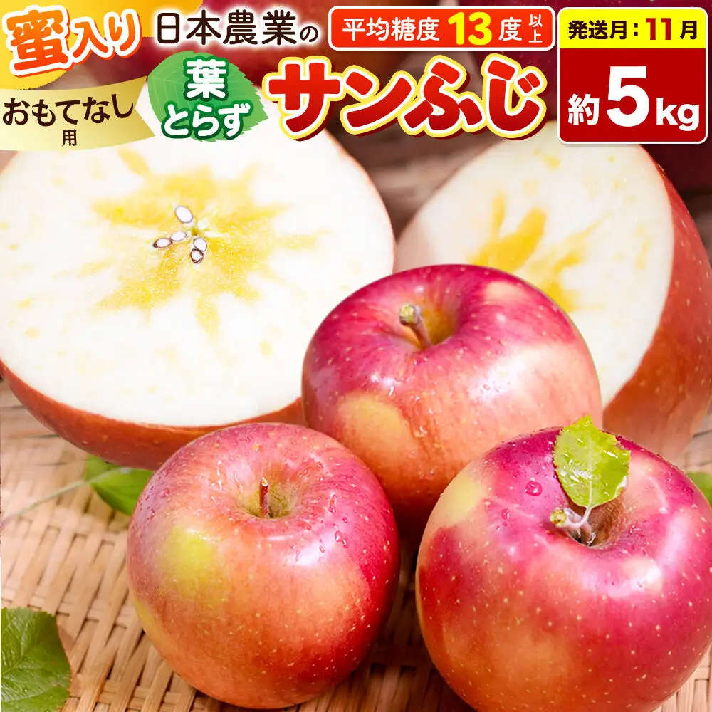 りんご 葉とらずサンふじ おもてなし用 約5kg【11月発送】りんご
