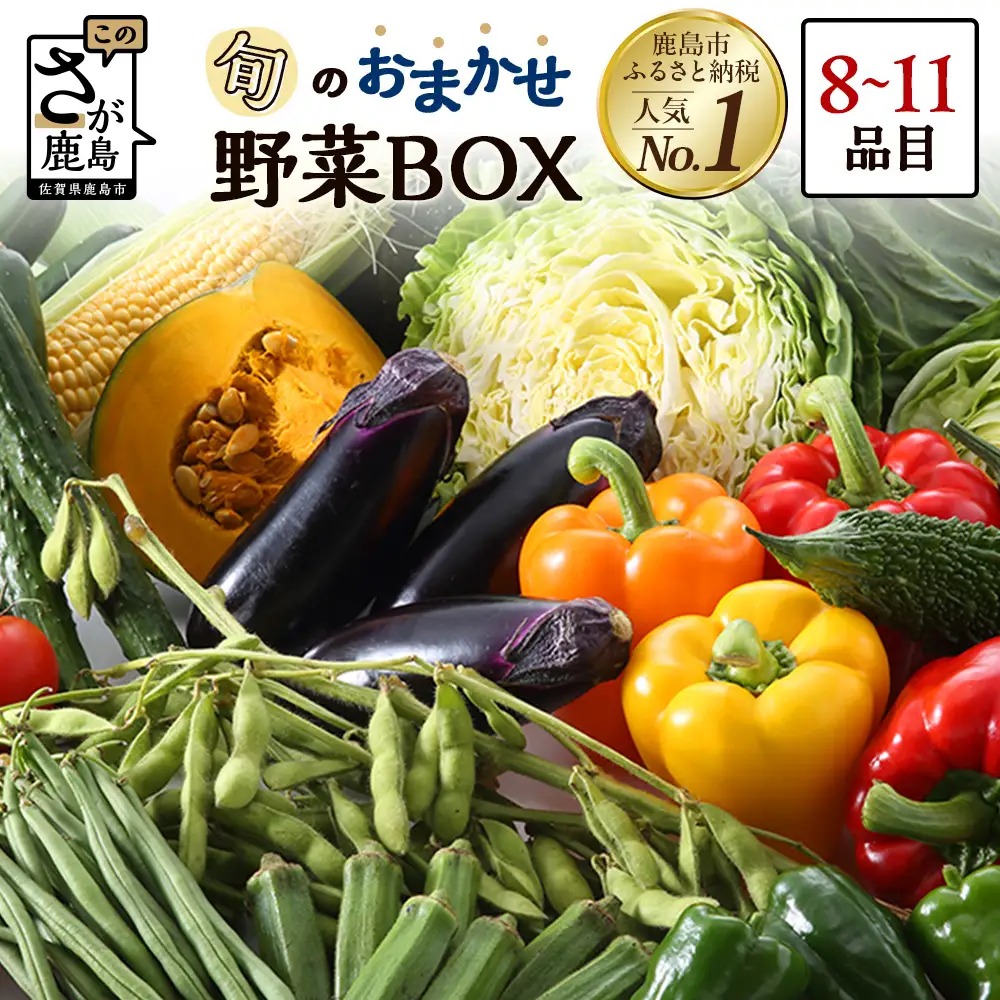  旬のおまかせ野菜BOXセット 旬の野菜 詰め合わせ 野菜 新鮮 野菜 8～11品目　AA-4