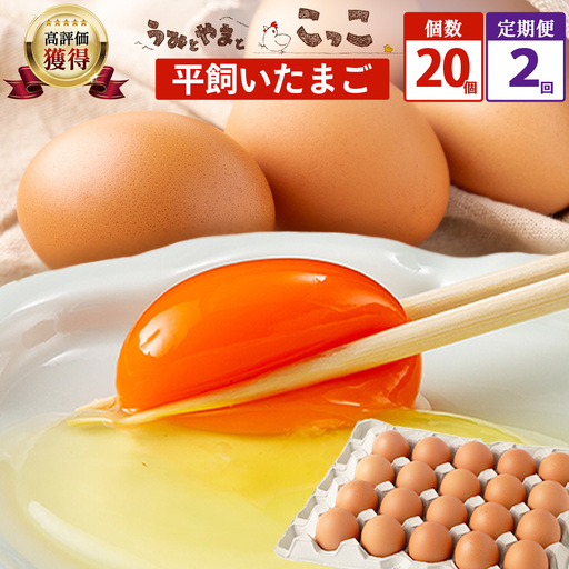 たまご 鶏卵【定期便】佐賀県鹿島産 平飼い卵「うみとやまとこっこ」上田養鶏場 たまご20個×2回 S～Lサイズ混合 卵 タマゴ 玉子焼きB-396