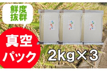 【１等米限定 令和５年産】《真空パック》さがびより 6kg（2kg×3）鹿島市産 B-397
