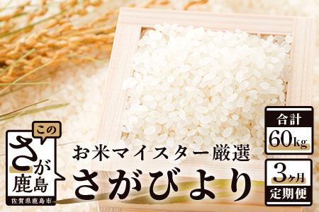  《3ヶ月 毎月お届け》 佐賀県産 さがびより 白米 20kg 定期便 J-10