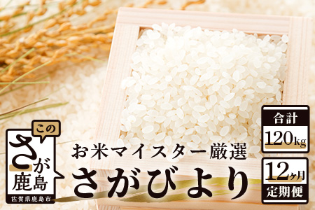 定期便 12ヶ月 佐賀県産 さがびより 白米 10kg《12ヶ月連続 毎月お届け》S-1