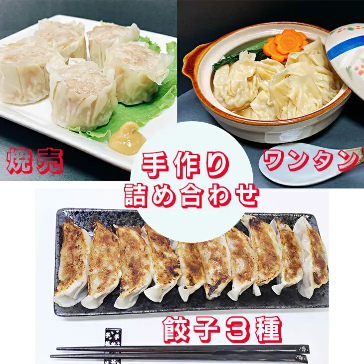 カスイ 手作り 餃子3種・焼売・ワンタン詰合せセット（5種類） 【1348】