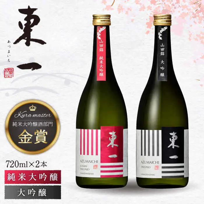 日本酒 東一 日本酒飲み比べ2種 NBQ001 
