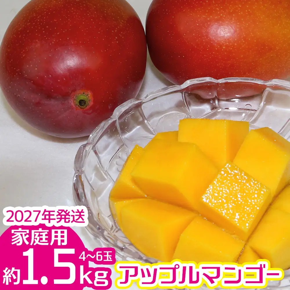 【2027年発送】ご家庭で美味しく！アップルマンゴー約1.5kg（4玉～6玉）【つは農園】