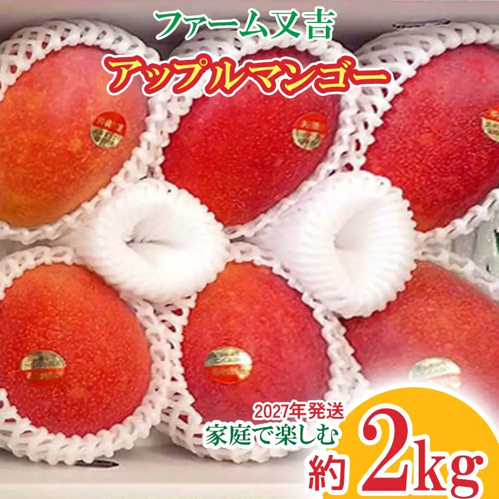 2027年発送【ファーム又吉】 家庭で楽しむアップルマンゴー 約2kg