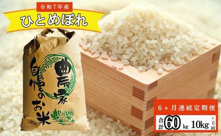 6ヶ月 10㎏ 定期便 白米  ひとめぼれ 精米 令和7年産 コメ